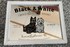 Black white scotch gebraucht kaufen  Legau