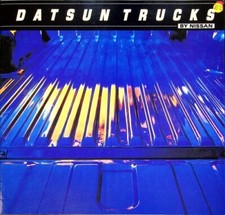 287270 datsun truck gebraucht kaufen  Deutschland
