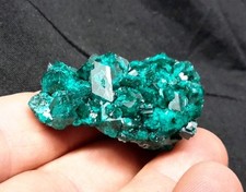 43mm dioptase crystals for sale  Tucson