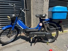 mopes for sale  HULL