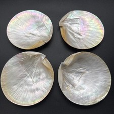 Set mother pearl for sale  Doylestown