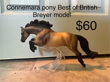 Connemara pony best for sale  Hilliard