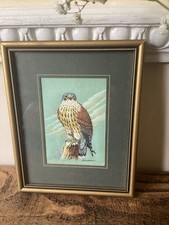 Cash peregrine falcon for sale  FLINT