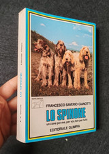 Gianotti spinone cane usato  Albano Laziale