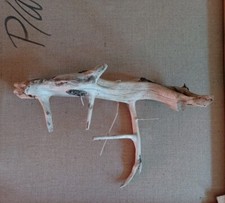 Treibholz wurzel skulptur gebraucht kaufen  München