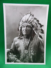 Dog sioux lakota gebraucht kaufen  Bad Zwischenahn