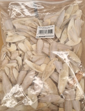 Sepiaschalen lucky reptile gebraucht kaufen  Bassum