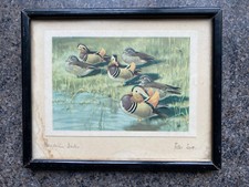Peter scott signed for sale  ALCESTER