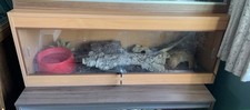 Reptile vivarium pine for sale  PRESTON