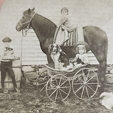 Antique 1887 children for sale  Niagara Falls