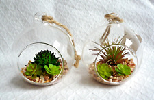 Pair faux cactus for sale  BANBURY