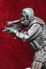 Pro painted sas for sale  RADSTOCK
