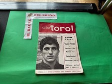 Ale toro anno usato  Villarbasse
