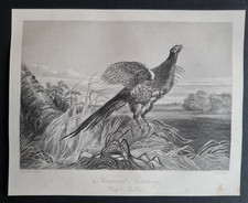 Antique 1856 print for sale Antique 1856 print for sale  ROMFORD