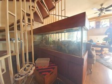 Terrarium schrank gebraucht kaufen  Hannover