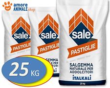 Italkali sale puro usato  Serra de Conti