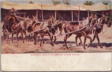 Vintage 1900s buffalo for sale  Burnsville