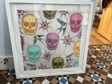 Dan baldwin divine for sale  BRIGHTON
