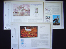 Oiseaux flamant cigogne d'occasion  Krautergersheim