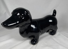 Dachshund wiener dog for sale  Waseca