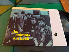 2013 the animals usato  Perugia