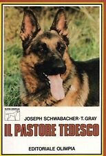 Pastore tedesco animali usato  Italia
