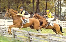 1980 middleburg hunt d'occasion  Expédié en Belgium