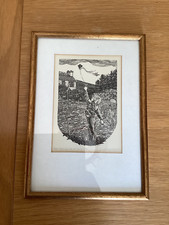 Tom flies kite for sale  BRISTOL