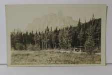 Vintage rppc postcard for sale  Plant City