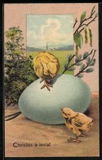 Künstler sterküken dem gebraucht kaufen Künstler sterküken dem gebraucht kaufen  Berlin