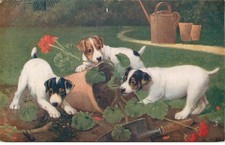 Fancy dog animals d'occasion  Expédié en Belgium