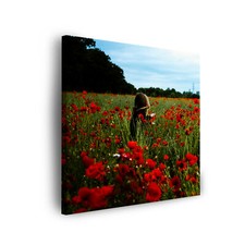 Leinwand bilder natur gebraucht kaufen  Großröhrsdorf