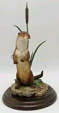 Country artists otter for sale  LIGHTWATER