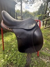 Peter horobin stride for sale  NEWTON ABBOT