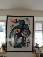 Farb lithographie joan gebraucht kaufen  Bronnerlehe