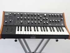 Moog subsequent analog gebraucht kaufen  Möhnesee