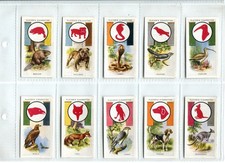 Boy scout girl for sale  SWINDON