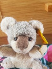Steiff koala 1446 for sale  TAUNTON