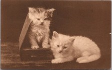 Vintage 1915 cat for sale  Burnsville