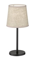 Fhl easy eve gebraucht kaufen  Bodenwöhr