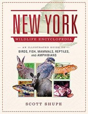 New york wildlife for sale  USA