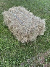 Allgäuer heu qualitäts gebraucht kaufen Allgäuer heu qualitäts gebraucht kaufen  Obergünzburg