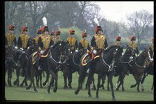 536044 kings troop for sale  UK