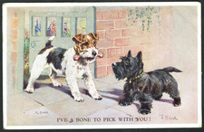 Dogs terriers bone for sale  BASINGSTOKE