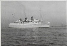 Queen bermuda .furness for sale  FOLKESTONE