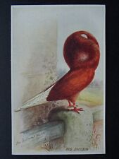 Bird theme red for sale  UK