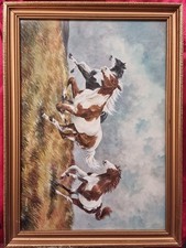 Fraces fry galloping for sale  FOLKESTONE