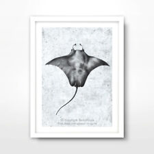 Manta ray stingray for sale  PEVENSEY
