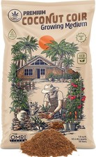 plants starts cannabis for sale plants starts cannabis for sale New York
