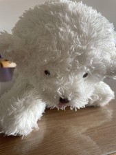 Gelato piqué bichon usato  Spedire a Italy